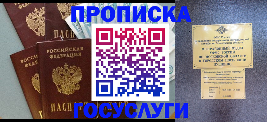 прописка гарантия в Мурино